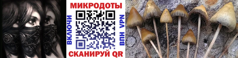 Галлюциногенные грибы мицелий OMG маркетплейс Пушкино закладка