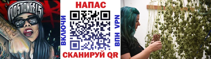 МАРИХУАНА конопля  Пушкино 